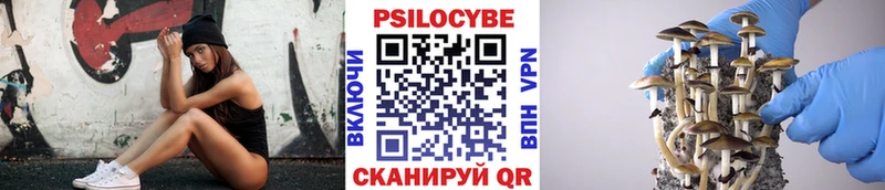 Псилоцибиновые грибы мухоморы  Андреаполь 